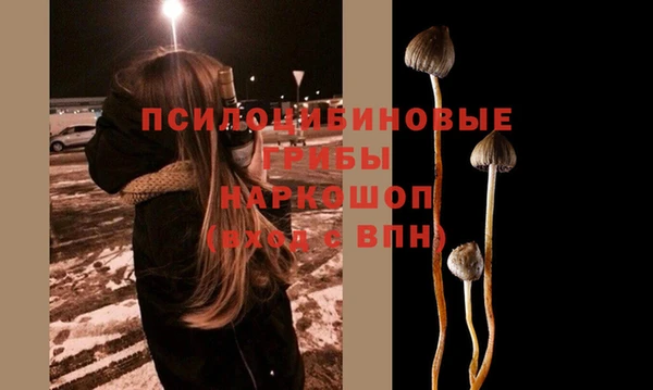 шишки Беломорск