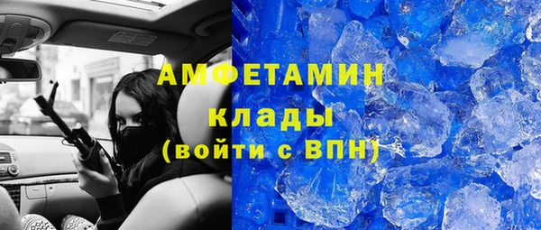 шишки Беломорск