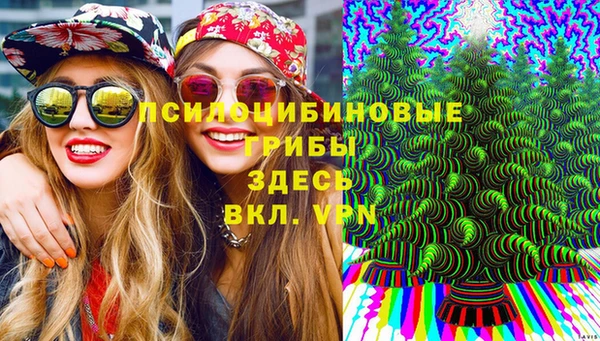 шишки Беломорск