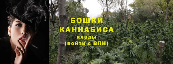 шишки Беломорск