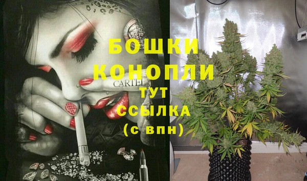 соль ск Белокуриха
