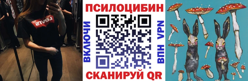 даркнет телеграм  Павловская  Псилоцибиновые грибы GOLDEN TEACHER 